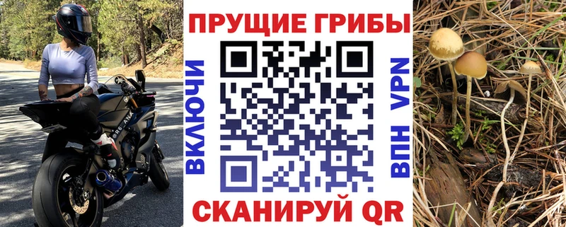 omg Южноуральск Псилоцибиновые грибы прущие грибы где можно купить